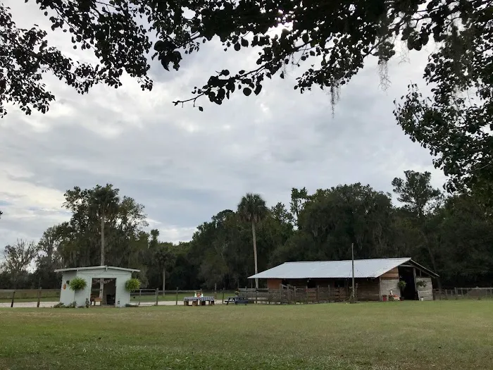 Collins Farm Picture 6