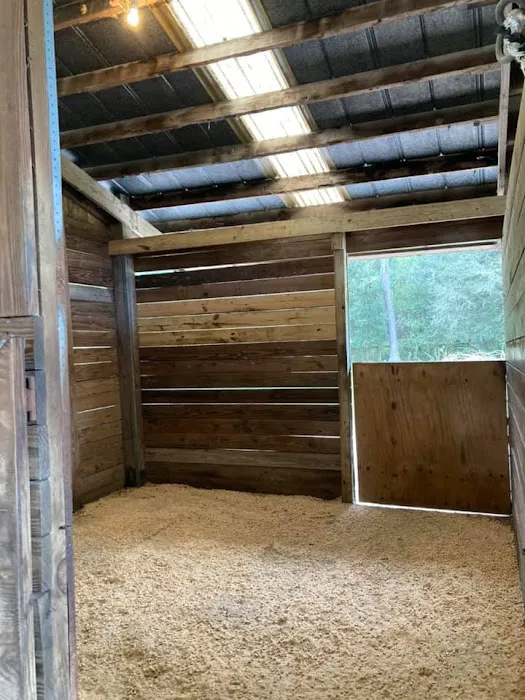 Collins Farm Picture 8