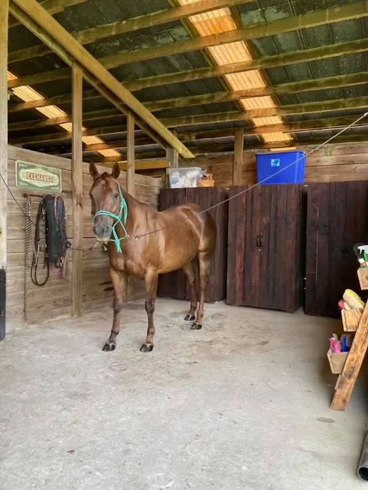 Collins Farm Picture 3
