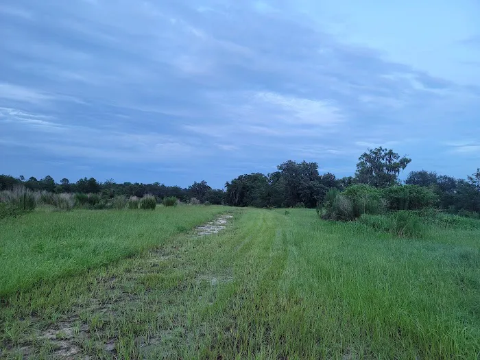 The Alencar Ranch Picture 4