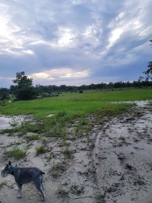 The Alencar Ranch Picture 2