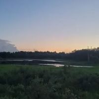 The Alencar Ranch ico