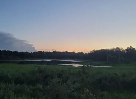 The Alencar Ranch