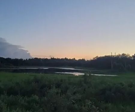 The Alencar Ranch