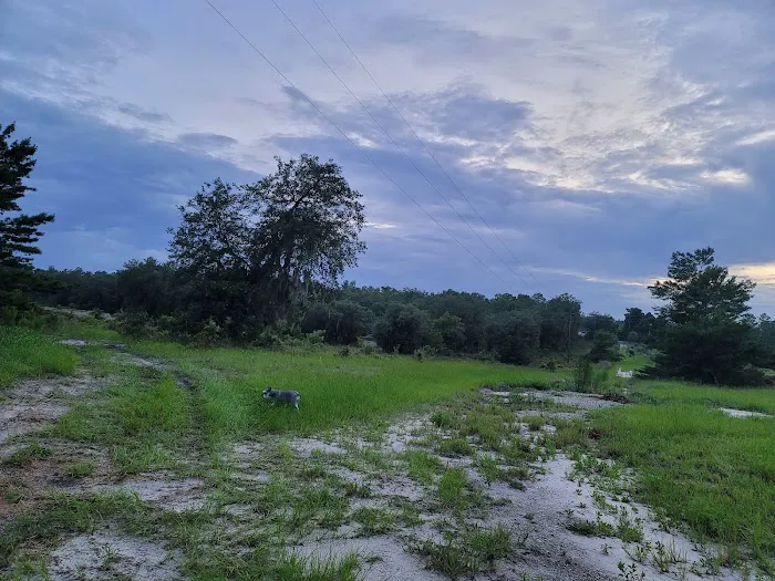 The Alencar Ranch Picture 3
