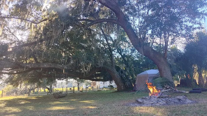 Quad Palms Rad Ranch Picture 4