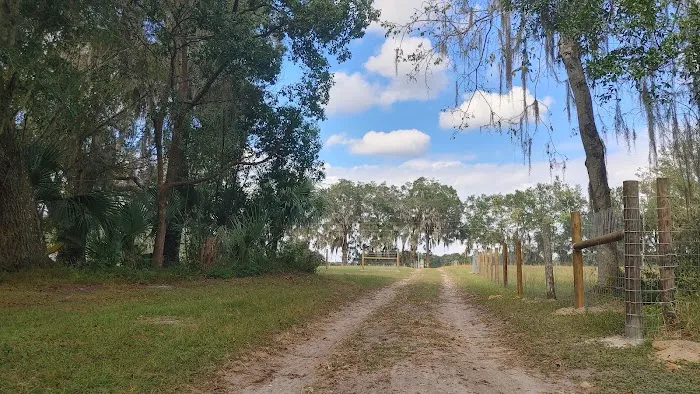 Quad Palms Rad Ranch Picture 1