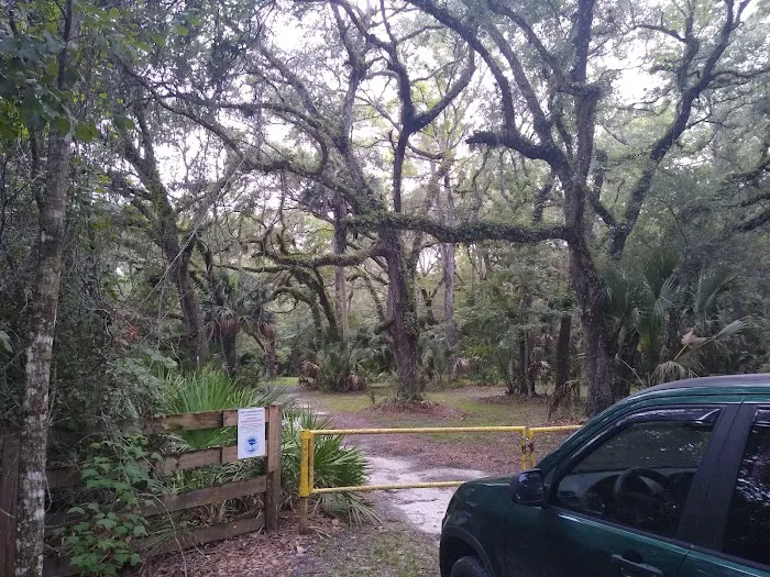 Lake George Jumping Gully Campsite of St Johns River WMD Picture 1