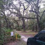 Lake George Jumping Gully Campsite of St Johns River WMD