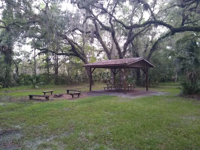 Lake George Jumping Gully Campsite of St Johns River WMD Picture 4