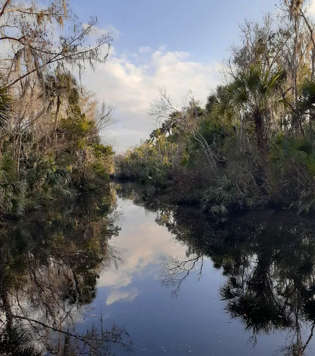 Pellicer Creek Campground Picture 9
