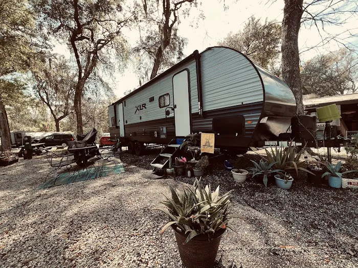 Pellicer Creek Campground Picture 8