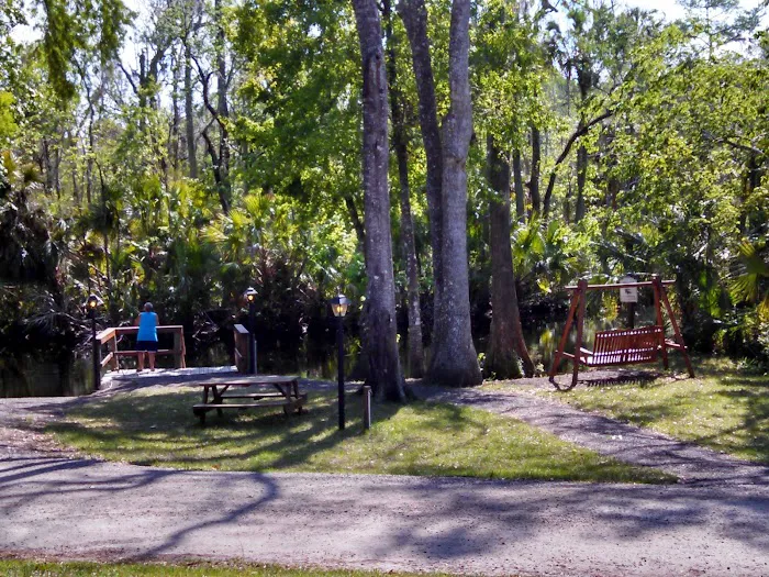 Pellicer Creek Campground Picture 3
