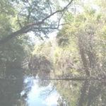 Pellicer Creek Campground
