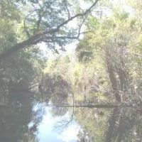 Pellicer Creek Campground ico