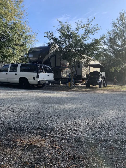 Pellicer Creek Campground Picture 5
