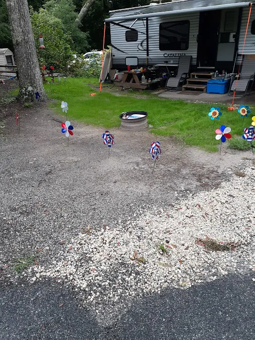 Pellicer Creek Campground Picture 7