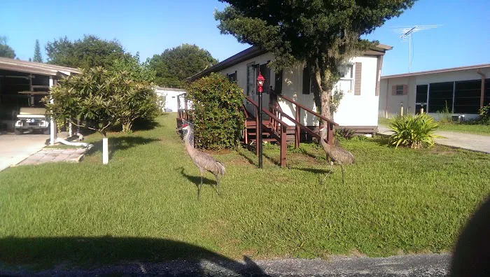Hammock Lake Est Mobile Home Picture 1