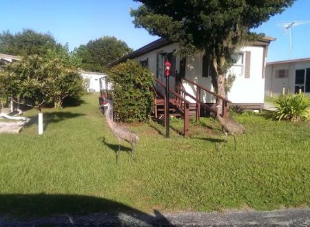 Hammock Lake Est Mobile Home