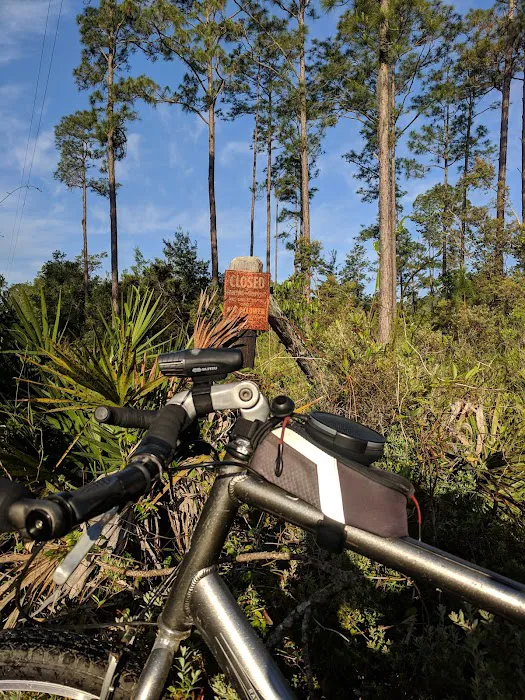 Lake Shore Group Campground - Ocala National Forest Picture 1