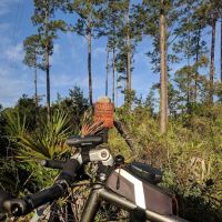 Lake Shore Group Campground - Ocala National Forest ico