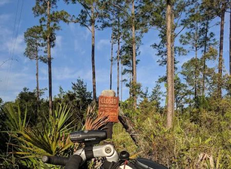 Lake Shore Group Campground - Ocala National Forest