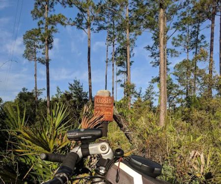 Lake Shore Group Campground - Ocala National Forest