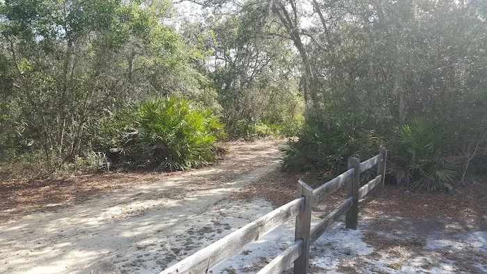 Lake Shore Group Campground - Ocala National Forest Picture 5