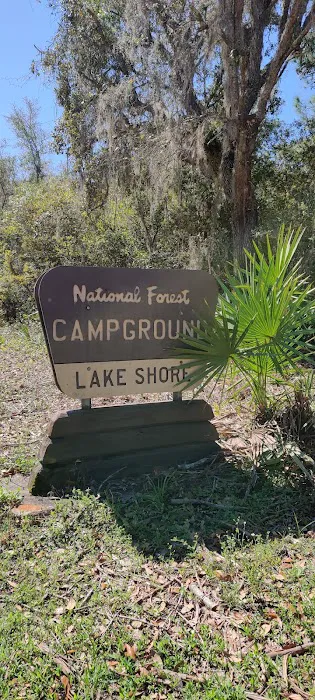 Lake Shore Group Campground - Ocala National Forest Picture 7