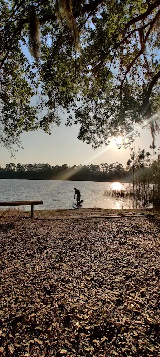Lake Shore Group Campground - Ocala National Forest Picture 9