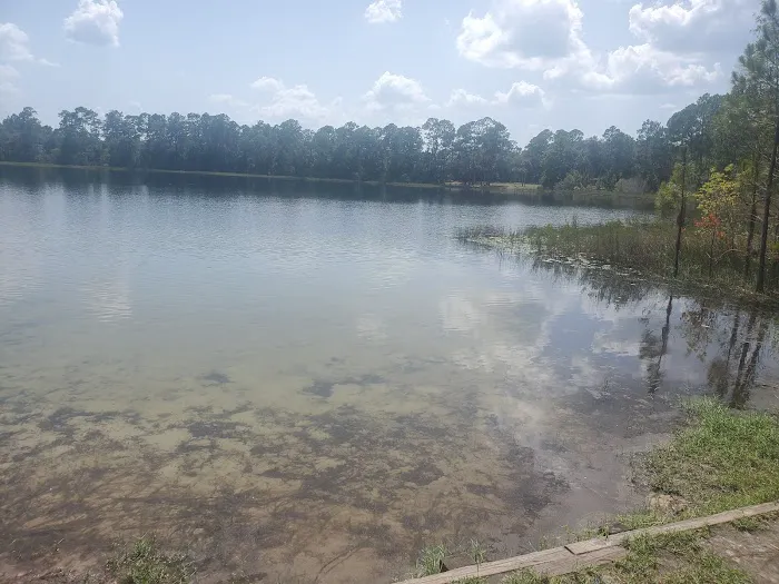 Lake Shore Group Campground - Ocala National Forest Picture 4