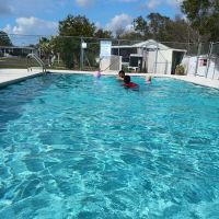 hammock lakes estates ico
