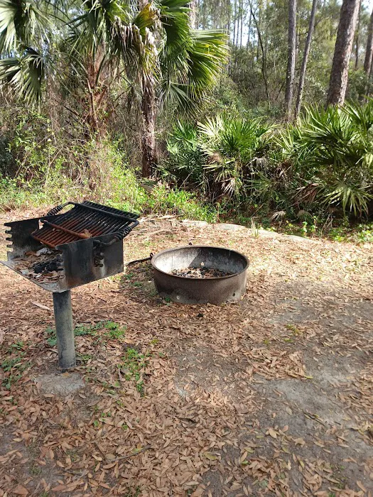 Fore Lake Campground/Silver Springs Picture 2