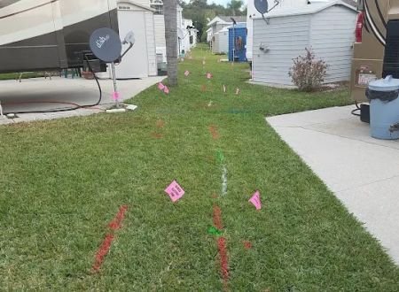 Avion Palms Homeowners Associates