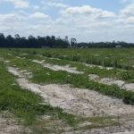 Pine Cone Mobile Home Park