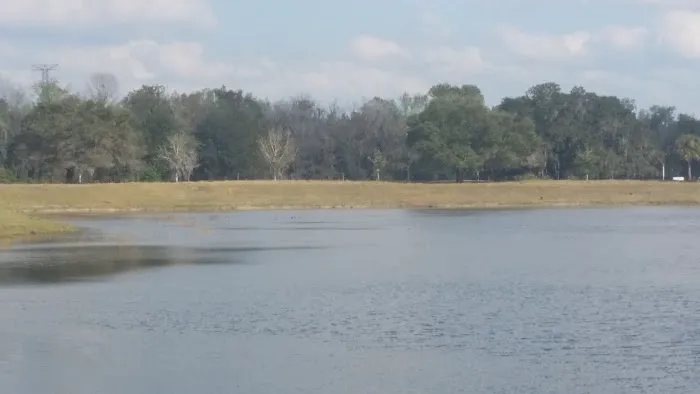 Crystal Lake Village 55+ RV and Home Community Picture 5