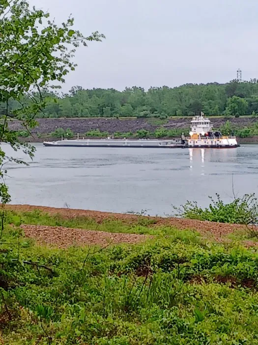TVA Pickwick Dam Campground Picture 5