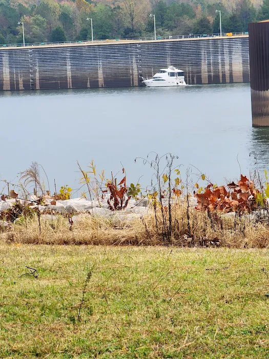 TVA Pickwick Dam Campground Picture 2