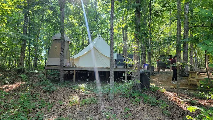 Pickwick Adventures Picture 8