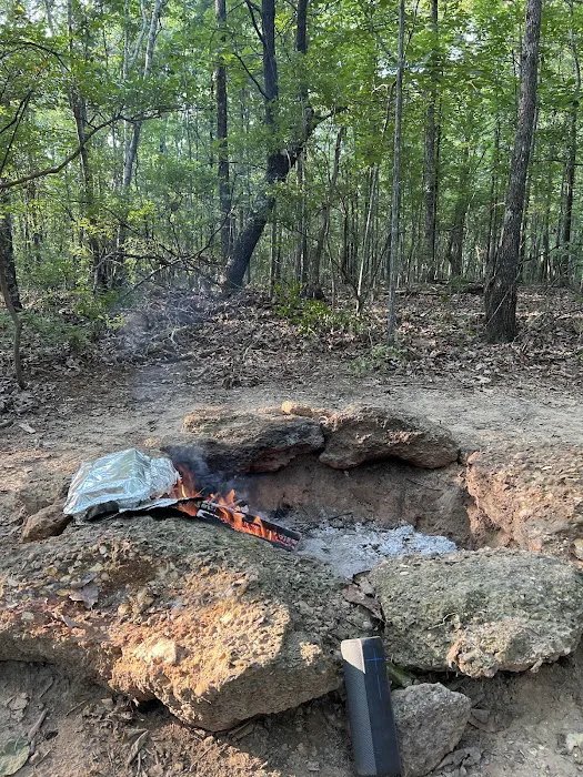 Pickwick Adventures Picture 9