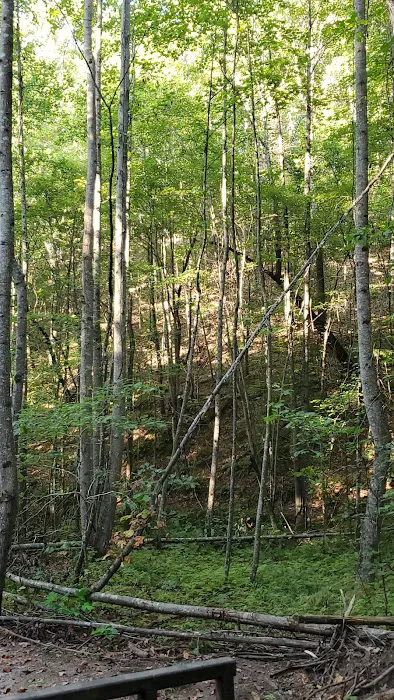 Pickwick Adventures Picture 7