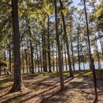 Scott Air Force Base FamCamp