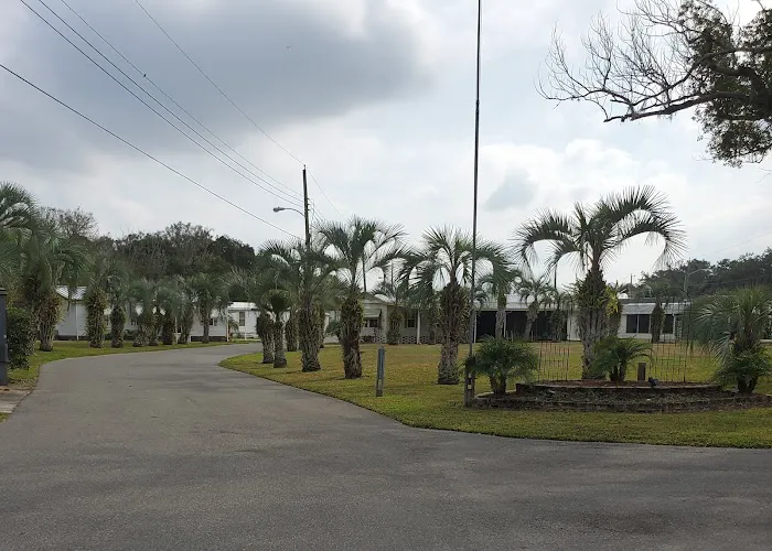 Paradise Palms Picture 1