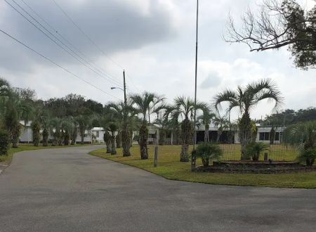 Paradise Palms