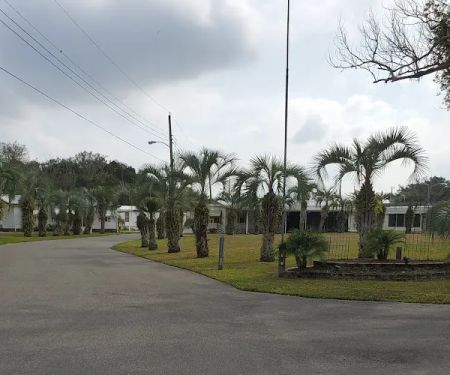 Paradise Palms