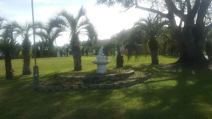 Paradise Palms Picture 6