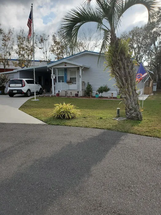 Paradise Palms Picture 2