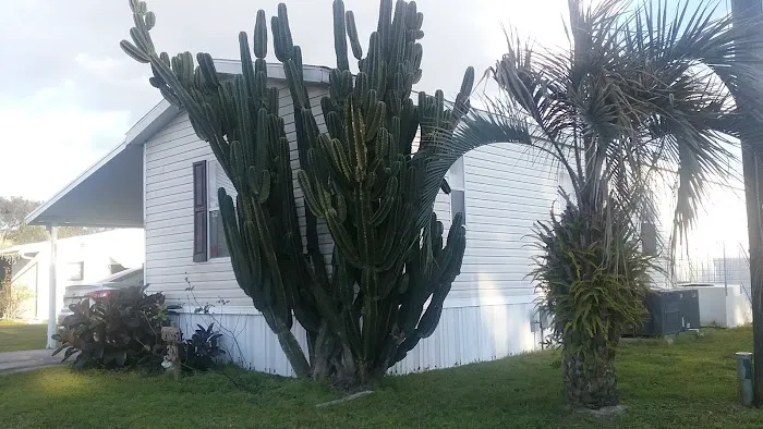 Paradise Palms Picture 4