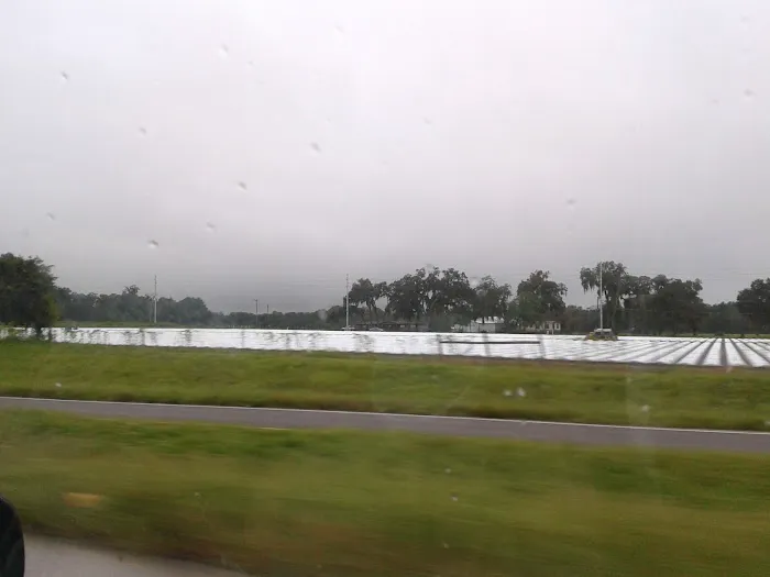 Country Oaks Adult Mobile Home Park Picture 2