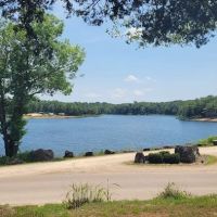 Cedar Lake Development ico